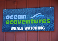 Ocean Ecoventures Whale Watching
