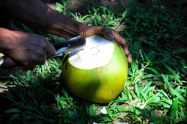 Fresh Bali Coconut