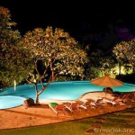 Villa Kembang Kertas Bali - Swimming Pool