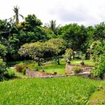 Villa Kembang Kertas Bali - Grounds and Garden