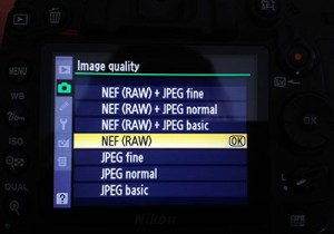 Camera RAW Setting